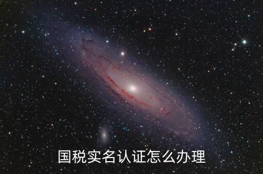 實(shí)名辦稅需要什么材料，在國(guó)稅局辦理法人實(shí)名制認(rèn)證要帶什么材料