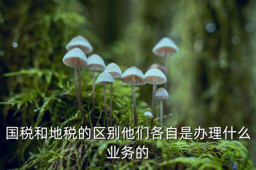 地稅是辦理什么業(yè)務(wù)的，企業(yè)在地稅局主要辦理什么業(yè)務(wù)呢