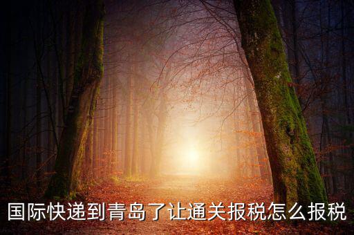 青島物流公司拿什么稅，國(guó)際快遞到青島了讓通關(guān)報(bào)稅怎么報(bào)稅