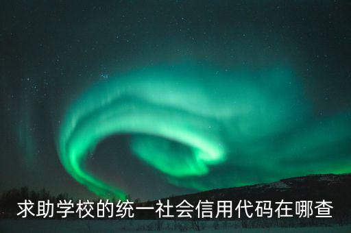 學(xué)校的社會(huì)信用代碼是什么東西，求助學(xué)校的統(tǒng)一社會(huì)信用代碼在哪查
