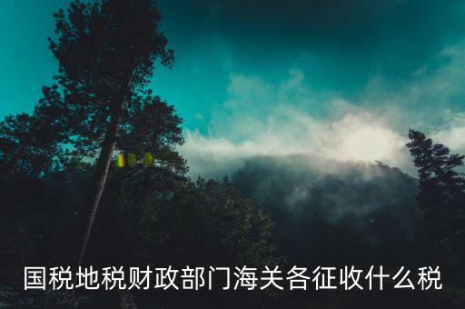 稅務(wù)機(jī)關(guān)收什么稅，國家稅務(wù)局系統(tǒng)主要負(fù)責(zé)征收什么稅種