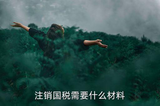 注銷國(guó)稅需要什么材料