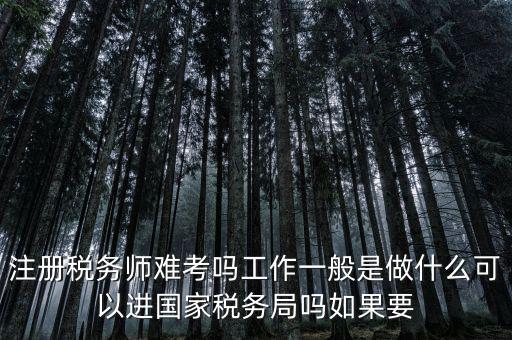 什么是稅務師，注冊稅務師能干什么待遇怎么樣