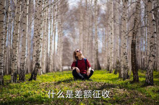 勞務(wù)費(fèi)差額征稅是什么意思，差額稅是啥東西