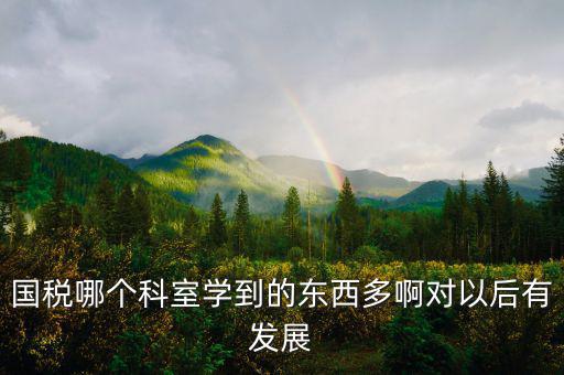 國稅有什么科室，國稅哪個科室學到的東西多啊對以后有發(fā)展