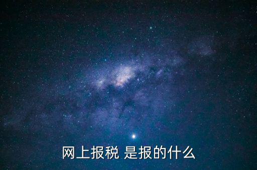 網(wǎng)上報稅 是報的什么