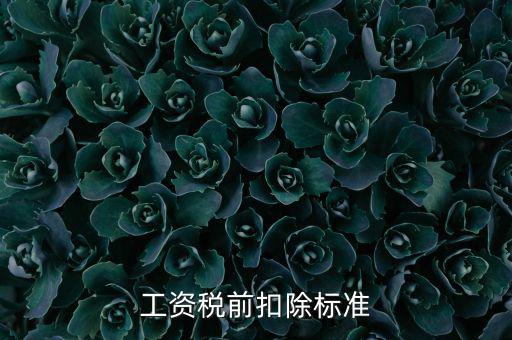 什么是稅前扣除標(biāo)準(zhǔn)，請(qǐng)問(wèn)差旅費(fèi)稅前扣除標(biāo)準(zhǔn)是什么
