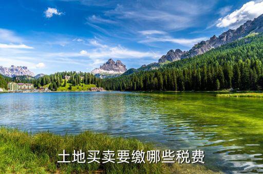 公司買地需要交什么稅，房地產(chǎn)開(kāi)發(fā)公司買土地要交什么稅