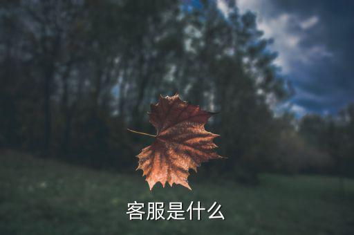 gs客服是什么，客服是什么