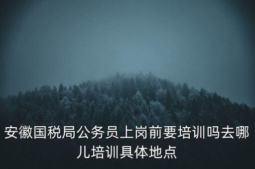 安徽國(guó)稅什么時(shí)候培訓(xùn)，安徽省稅務(wù)學(xué)校還在嗎那里的教學(xué)樓宿舍和操場(chǎng)都還在嗎沒(méi)被拆