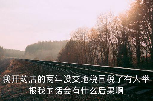 國稅舉報有什么后果，我開藥店的兩年沒交地稅國稅了有人舉報我的話會有什么后果啊