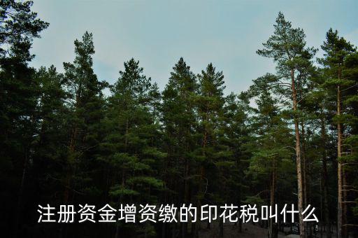 注冊資本印花稅是什么意思，注冊資本印花稅