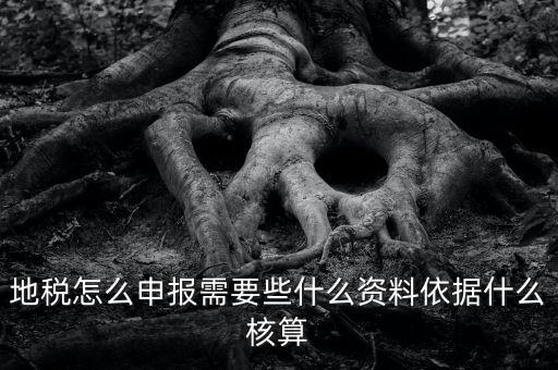 地稅根據(jù)什么申報(bào)，地稅怎么申報(bào)