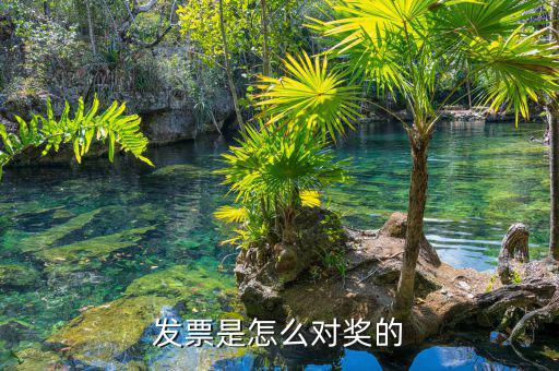 有獎(jiǎng)發(fā)票是什么，天津有獎(jiǎng)發(fā)票二次開(kāi)獎(jiǎng)日期查詢(xún)方法