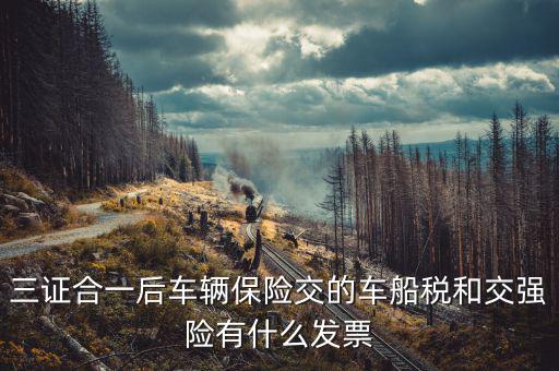 三證合一后車(chē)輛保險(xiǎn)交的車(chē)船稅和交強(qiáng)險(xiǎn)有什么發(fā)票