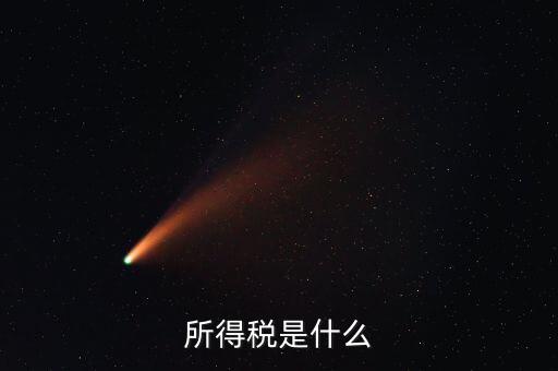 所得稅支出是什么，所得稅是什么