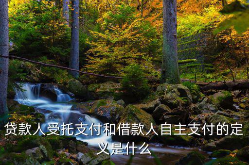 自主支出是什么，自主支出是什么意思求解釋