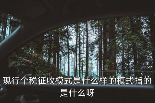 個人征稅系統(tǒng)是什么，你好補(bǔ)交個稅在稅局系統(tǒng)怎樣操作