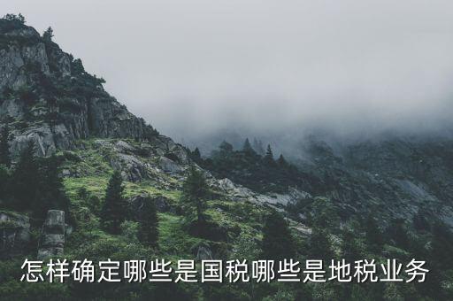 業(yè)務(wù)地稅是什么，地稅申報中業(yè)務(wù)種類是什么