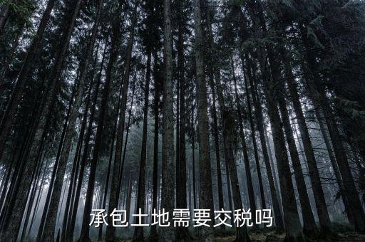 土地承包費(fèi)征什么稅，我公司承包一農(nóng)民的土地承包期限至該農(nóng)民包地期限為止請(qǐng)問我公