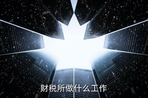 財(cái)稅所做什么工作
