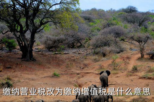 營業(yè)稅改為增值稅是什么意思，營業(yè)稅改增值稅指的是什么