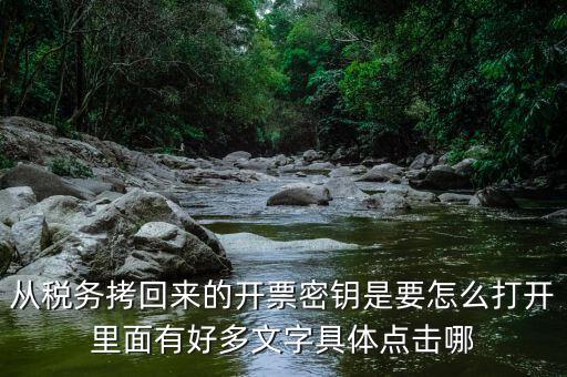 稅務密鑰是什么，增值稅專用發(fā)票辦理秘鑰是什么意思