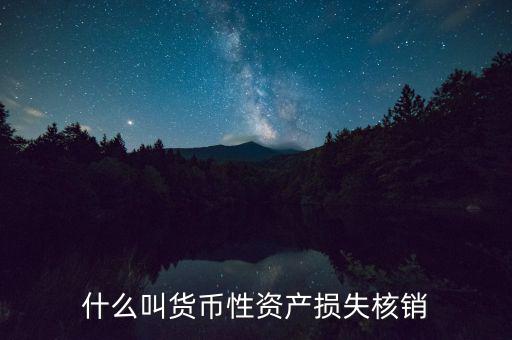 什么叫貨幣性資產損失核銷