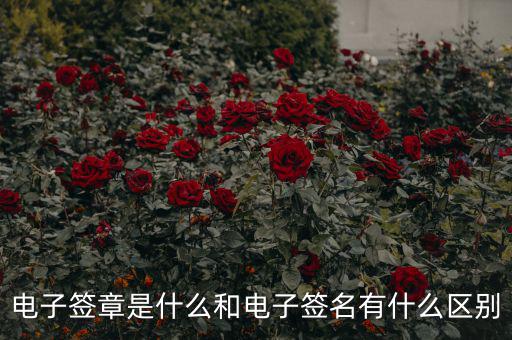 國稅電子簽章什么意思，什么是電子印章