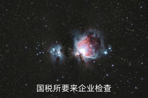 國稅督查組是做什么的，補(bǔ)交上一年的國稅國稅局把該款記入了今年的營業(yè)額中令今年的營