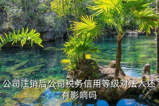 國稅評級有什么影響，納稅評估的作用有哪些