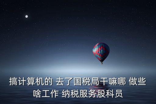 納服科是什么，搞計(jì)算機(jī)的 去了國(guó)稅局干嘛哪 做些啥工作 納稅服務(wù)股科員