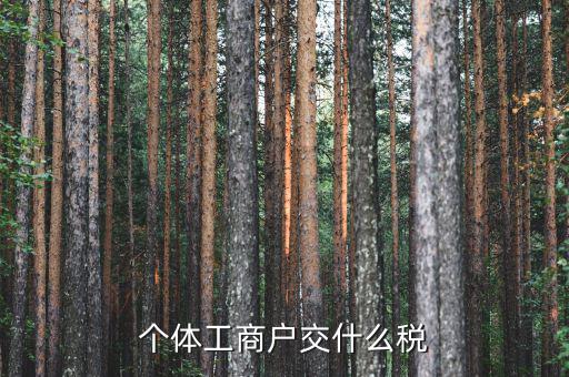 個(gè)體工商戶(hù)是什么稅，個(gè)體工商戶(hù)要納的稅包括哪些