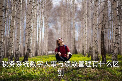 數(shù)字人事評是什么，稅務(wù)系統(tǒng)數(shù)字人事與績效管理有什么區(qū)別