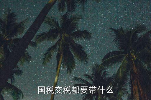 國稅錄指紋需要帶什么，國稅交稅都要帶什么