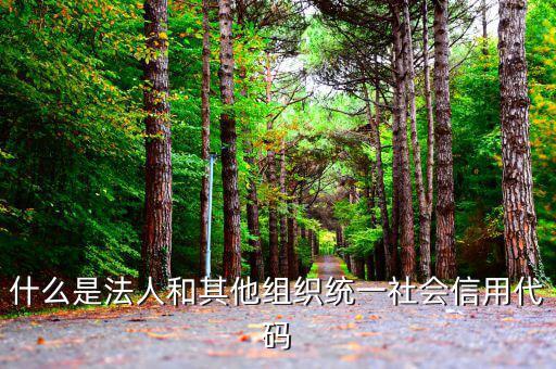 機(jī)關(guān)有社會信用代碼是什么意思，社會信用代碼與機(jī)構(gòu)信用代碼有什么不同