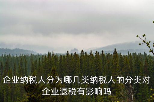 什么A級B級信用納稅人，A級增值稅一般納稅人C級增值稅一般納稅