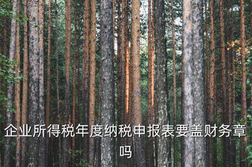 所得稅年報(bào)要蓋什么章，企業(yè)所得稅年度納稅申報(bào)表要蓋財(cái)務(wù)章嗎
