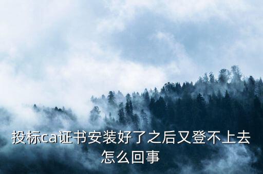 ca登陸不上是什么原因，登不上是怎么回事