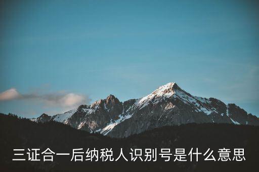 三證合一稅務(wù)識別號是什么意思，三證合一后納稅人識別號是什么意思