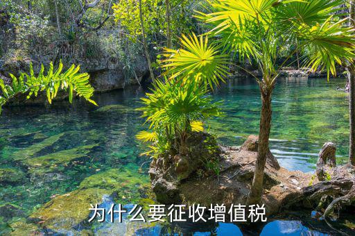 境外勞務(wù)為什么要交增值稅，為什么要交增值稅