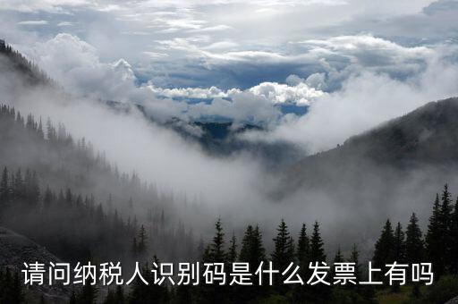 發(fā)票納稅人代碼是什么意思，請(qǐng)問(wèn)納稅人識(shí)別碼是什么發(fā)票上有嗎