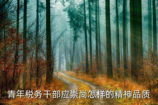中國(guó)稅務(wù)精神是什么，在稅務(wù)工作中應(yīng)該樹(shù)立什么樣的精神