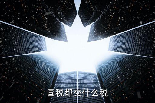 國稅稅款是什么，國稅都交什么稅