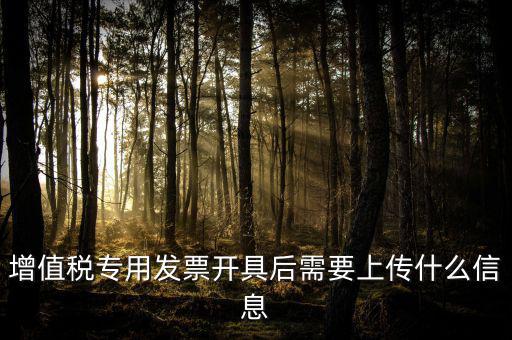 增值稅專用發(fā)票開具后需要上傳什么信息