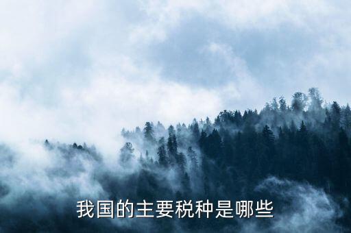 中國(guó)三大稅收是什么，中國(guó)境內(nèi)的稅收種類