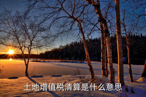 土地增值稅納稅清算什么意思，土地增值稅清算