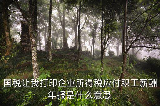 所得稅年報(bào)是什么意思，企業(yè)所得稅年報(bào)是什么意思怎么報(bào)去年4個(gè)季度都報(bào)了呀我是