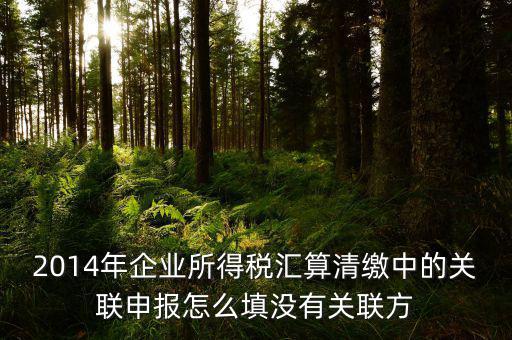 2014年企業(yè)所得稅匯算清繳中的關聯(lián)申報怎么填沒有關聯(lián)方