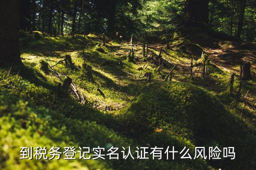 到稅務(wù)登記實名認(rèn)證有什么風(fēng)險嗎